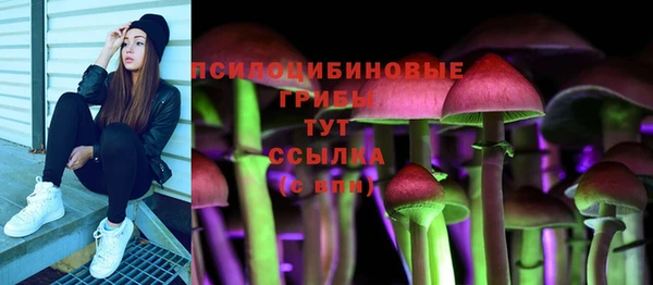 МДПВ Белокуриха