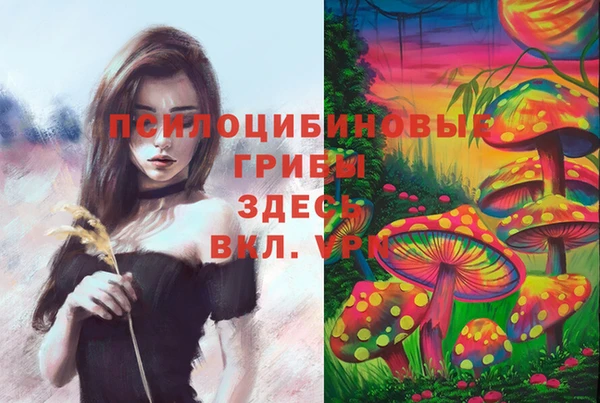 мяу мяу мука Беломорск