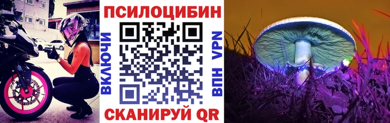 мориарти наркотические препараты  цена наркотик  Кстово  Псилоцибиновые грибы мицелий 